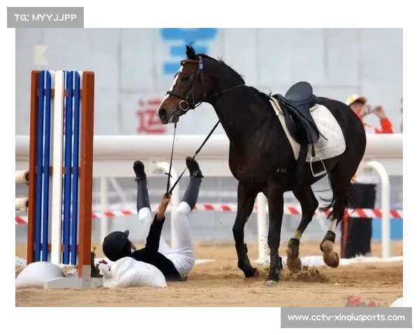 世界现代五项锦标赛花絮，马术环节意外频发